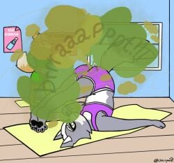 anthro butt canid canine canis cherrym0nr erection fart fart_cloud fart_fetish fox_mccloud hi_res male male/male mammal nintendo smelly star_fox stretching wolf wolf_o'donnell yoga yoga_mat