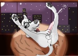 1boy 2016 20th_century_fox 20th_century_studios bullwinkle_studios dreamworks dreamworks_animation holidaypup jay_ward_productions male male_only mr._peabody mr._peabody_&_sherman pacific_data_images rocky_and_bullwinkle