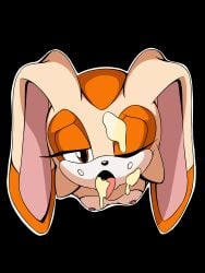 cream_the_rabbit j_nsfw sonic_(series)