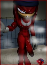 3d 3d_(artwork) after_shower knuckles_the_echidna large_penis male_only sega sfm shower sonic_(series) sonic_the_hedgehog_(series) steaming_body steamy susknuckles veiny_penis wet wet_body wet_skin