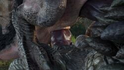 3d anal anal_penetration anal_sex animated anjanath anus bazelgeuse brute_wyvern capcom close_up dinosaur dragon feral feral_on_feral feral_only feral_penetrated feral_penetrating forest gay genital_slit lying male male/male male_only monster_hunter mp4 no_sound outside raithvaneal reptile sex slit tagme video