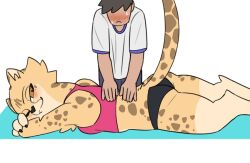 2020s 2021 akino_(kemokin_mania) ankle_tuft armpit_tuft blush breasts brown_eyes cheek_tuft cheetah claws feline furry kemokin_mania kouda_(kemokin_mania) larger_female massage no_eyes one_eye_closed paws small_breasts smaller_male sportswear spotted_body spotted_fur sweat tail