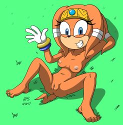 anthro anus breasts echidna egyptian female genitals grass_field hefess mammal monotreme nipples orange_body pussy sega solo sonic_(series) sonic_adventure sonic_the_hedgehog_(series) spread_legs spreading tikal_the_echidna