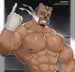 bara facial_hair gloves live-a-hero male male_only mask muscles muscular polaris_mask shirtless solo solo_male wrestler wrestling_mask zagghov