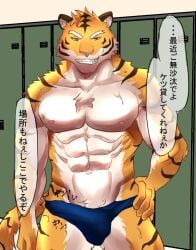 abs anthro bulge clothed clothing dialogue erection felid fur hi_res humukeaka1 japanese_text locker locker_room looking_at_viewer male male_only mammal marbles_(pixiv) multicolored_body multicolored_fur muscular muscular_anthro muscular_male nipples open_mouth pantherine pecs shirtless solo speedo speedo_only striped_body striped_fur stripes swimwear talking_to_viewer text tiger topless white_body white_fur yellow_body yellow_fur