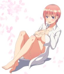 barefoot blue_eyes blush breasts covered_erect_nipples feet female go-toubun_no_hanayome highres hugimosi knees_up large_breasts legs looking_at_viewer nakano_ichika naked_shirt no_bra no_panties open_clothes open_shirt pink_hair shirt short_hair smile solo toenails toes white_shirt