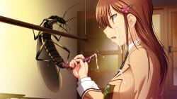 brown_cardigan brown_eyes brown_hair bug cardigan censored chiba_tetsutarou cum flower_hairpin game_cg glaring handjob indoors insectophilia kisaragi_kagome konchuu_kansatsu mosaic_censoring non-web_source zoophilia
