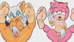 amy rose from sega by naferpit