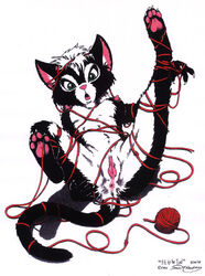 anus bondage breasts feline female furry james_m_hardiman pussy string