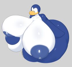 2024 2d 2d_(artwork) 2d_artwork anthro ass avian big_ass big_breasts big_butt big_thighs bird bird_girl blue_feathers breasts club_penguin digital_art digital_drawing_(artwork) digital_media_(artwork) disney furry furry_female grabbing_breast grabbing_own_breast huge_ass huge_breasts huge_butt huge_cock penguin tha_randomu thick thick_ass thick_thighs