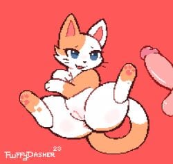 a_cat_is_fine_too cute_eyes digital_media_(artwork) domestic_cat felid feline felis female feral fluffydasher genitals mammal pawpads penis pixel_(artwork) pixel_art pussy spots spread_legs spreading