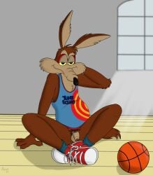 absurd_res anthro ball balls basketball basketball_(ball) bottomless canid canine canis clothed clothing coyote footwear genitals hi_res looney_tunes male mammal nude partially_clothed penis pubes rasik shirt shoes sitting sneakers solo solo_male space_jam spread_legs spreading tank_top topwear warner_brothers wile_e._coyote yellow_eyes