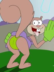 ass blush brown_body brown_hair buckteeth furry green_gloves green_panties karate looking_at_viewer mammal purple_bikini rear_view saliva sandy_cheeks smaller_female smooth_skin solo spanky15 spongebob_squarepants squatting squirrel swimsuit tail tongue_out underwear