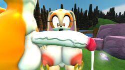 3d 3d_(artwork) big_breasts big_penis breasts canine chaos_emerald cock_shock cream_the_rabbit dripping_cum fox huge_cock lagomorph miles_prower novaparadox1337 penis penis_awe piercing rabbit ring_piercing sonic_(series) sonic_the_hedgehog_(series) tails tails_the_fox uncensored