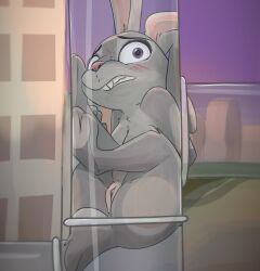 2023 anthro blush breasts clenched_teeth disney female full-length_portrait fur genitals grey_body grey_fur hi_res honeymono judy_hopps lagomorph leporid looking_at_viewer mammal nude portrait purple_eyes pussy rabbit solo stuck teeth tube zootopia