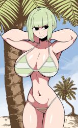 beach big_breasts bikini bikini_bottom bikini_top midriff original ragingbarbarians terri_(ragingbarbarians)