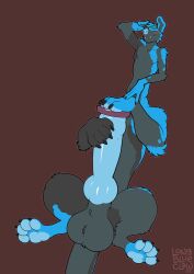 2021 animal_genitalia animal_penis black_body black_fur blue_body blue_fur blush canid canid_taur canine canine_genitalia canine_penis canine_taur digital_media_(artwork) dildo dildo_in_penis dildo_in_urethra dildo_insertion fur genitals hand_behind_head hi_res humanoid_hands knot longblueclaw male male_only mammal mammal_taur pawpads paws penetration penis sex_toy sex_toy_in_penis sex_toy_in_urethra sex_toy_insertion sheath simple_background smile solo taur teeth urethral urethral_penetration