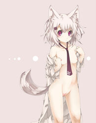 1girls arutoria blush breasts dots erect_nipples female navel necktie nipples nude open_clothes original pointy_chin red_eyes short_hair simple_background solo tail white_hair wolf_ears wolf_tail