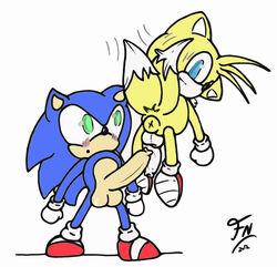 color fox fur furry furry_only furry_tail hedgehog interspecies male male_only multiple_males multiple_tails sega sonic_(series) sonic_team sonic_the_hedgehog sonic_the_hedgehog_(series) sonic_the_hedgehog_2 tail tails yaoi