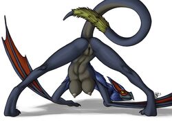 2011 anthro anus ass beak breasts capcom female flying_wyvern furry hanging_breasts ldr monster_hunter monster_hunter_freedom_unite nargacuga nipples nude presenting pseudowyvern pussy raised_tail solo source_request tail video_games wyvern