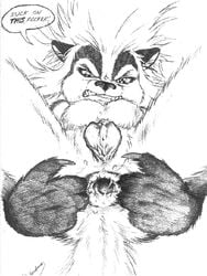 angry_face anthro anus female gaping james_m_hardiman lori pussy skunk