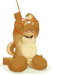 akita_inu balls blush bondage canine chubby cute fat furry male male_only manya nipples penis precum rapture sad small_penis solo tear white_background