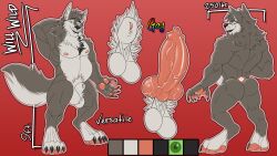 absurd_res animal_genitalia balls canid canine canine_genitalia canine_penis canis genitals hi_res iceroyz male mammal model_sheet muscular muscular_male penis simple_background solo text vein veiny_penis will_wild_(papawerewol) wolf