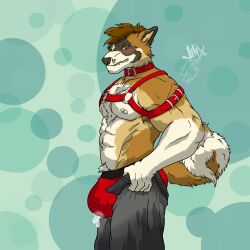 absurd_res akita american_akita anthro anthro_only ass bdsm_collar bdsm_gear bdsm_outfit blush bodily_fluids body_hair bondage bottomwear brown_body brown_fur canid canine canis chest_hair chest_tuft clothed clothing collar cum cum_drip cum_inside digital_media_(artwork) domestic_dog dripping embarrassed fluffy fluffy_tail fur genital_fluids green_background green_body green_fur hair harness hi_res horn jinxed_arts leather leather_clothing leather_collar leather_harness leather_topwear male mammal musclegut muscular muscular_anthro muscular_male nipples pants pecs pubes simple_background solo spitz tail tail_curl tight_bottomwear tight_clothing tight_pants tight_pants_(meme) topwear tuft white_body white_fur