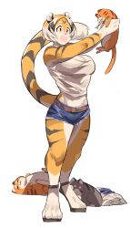 1girls anthro arknights aspirindabaitu big_breasts breasts cat furry mx99926 pet solo solo_female tiger tiger_girl waai_fu_(arknights) wholesome