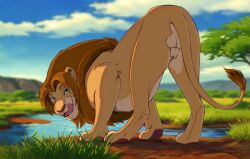 2023 animal_genitalia ass balls brown_hair felid feral fully_sheathed fur genitals grass hair hi_res licking licking_lips lion looking_at_viewer looking_back looking_back_at_viewer male mammal mane nature outside pantherine plant reallynxgirl rear_view savanna seductive sheath solo tail tail_tuft tan_body tan_fur tongue tongue_out tuft water watering_hole whiskers