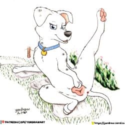101_dalmatians 3_toes animal_genitalia animal_vulva anus canid canine canine_genitalia canine_vulva canis collar dalmatian disney domestic_dog feet female feral flower fur genitals grass hi_res legs_up looking_at_viewer mammal patreon patreon_logo patreon_username pawpads paws perdita plant presenting presenting_vulva sitting sitting_on_another smile smiling_at_viewer solo spread_legs spreading text toes traditional_media_(artwork) url vulva white_body white_fur yordraw