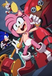 amy_rose anthro assisted_exposure bow_panties canid canine clothed clothing dr._eggman dress embarrassed euf-dreamer eulipotyphlan female flat_chested fox frills frilly frilly_clothing furry group hammer hedgehog hi_res machine male mammal no_bra panties panties_only public public_exposure robot sega sonic_(series) sonic_the_hedgehog sonic_the_hedgehog_(series) tails tails_the_fox tools topless torn_clothing torn_dress underwear underwear_only wardrobe_malfunction white_panties white_underwear