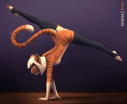 anthro anus blonde_hair breasts cassandra_kitty clothing domestic_cat felid feline felis female feretta flexible fur genitals hair handstand hi_res legwear legwear_only mammal markings mostly_nude nude orange_body orange_fur pawpads side_view simple_background small_breasts solo splits spread_legs spreading stockings stockings_only striped_markings stripes tabby_cat tan_body tan_fur vulva yellow_eyes