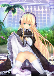 bloomers bloomers_(victorian) bloomers_around_one_leg blush checkered checkered_floor coconut dress dress_lift flower gosick green_eyes hairband highres insertion kneeling lolita_fashion long_hair no_panties palm_tree penetration pipe pussy reflection skirt skirt_lift solo tear thighhighs tomusooya tree uncensored very_long_hair victorica_de_blois victorique_de_broix white_legwear