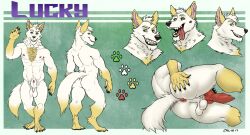 2019 abs absurd_res animal_genitalia animal_penis anthro anus ass ass_focus balls butt_focus canid canine canine_genitalia canine_penis canis chumbasket dated dipstick_tail domestic_dog erection front_view fur genitals gloves_(marking) green_eyes grin hair hi_res leg_markings lying male male_anthro mammal markings model_sheet nipples nude on_side open_mouth open_smile pecs penis penis_tip perineum rear_view red_anus red_nipples sheath short_hair signature simple_background smile socks_(marking) solo spread_ass spread_butt spreading tail tail_markings white_balls white_body white_fur white_hair white_sheath yellow_markings