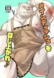 1boy absurdres animal_ears apron arm_up armpit_hair armpits bara blush bulge closed_mouth commentary_request cover cover_page doujin_cover furry furry_male highres looking_at_viewer male male_focus mercenary_(zero_kara_hajimeru_mahou_no_sho) muscular muscular_male naked_apron nipples otyatora_r pectoral_cleavage pectorals spring_onion sweatdrop tiger_boy tiger_ears tiger_stripes translation_request white_fur yaoi youhei zero_kara_hajimeru_mahou_no_sho