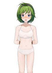 1girls ahoge ass_visible_through_thighs bare_arms bare_midriff bare_thighs blue_eyes blush bondage bound bound_wrists bra breasts dogansa empty_eyes female female_only femsub fire_emblem fire_emblem:_the_blazing_blade green_hair hairband looking_at_viewer midriff nino_(fire_emblem) nintendo panties restrained shocked short_hair small_breasts solo thighs underwear white_panties wide_eyed