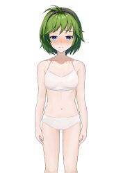 1girls ahoge ass_visible_through_thighs bare_arms bare_midriff bare_thighs blue_eyes blush bra breasts dogansa female female_only fire_emblem fire_emblem:_the_blazing_blade frown green_hair hairband midriff nino_(fire_emblem) nintendo panties sad short_hair small_breasts solo thighs underwear white_panties