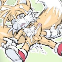 tails the fox from sega by hotred