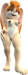 3d absurd_res anthro blender_(software) blender_cycles breasts brown_eyes dargotdruid female fur furry genitals hi_res lagomorph leporid mammal naked naked_female nipples nude nude_female paws pussy rabbit sega solo sonic_(series) sonic_the_hedgehog_(series) standing tan_body tan_fur transparent_background vanilla_the_rabbit