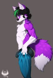 2023 absurd_res anthro anthro_only arm_tuft black_eyebrows black_hair black_nose blue_bottomwear blue_clothing blue_pants bottomwear bulge canid canine chest_tuft clothed clothing dipstick_tail dressing elbow_tuft eldiman eyebrows fox fur fur_tuft genital_outline green_highlights hair hi_res highlights_(coloring) looking_down male mammal markings multicolored_hair pants penis_outline purple_body purple_ears purple_fur purple_tail purple_tuft side_view solo tail tail_markings tight_bottomwear tight_clothing tight_pants tight_pants_(meme) tokami topless tuft two_tone_hair underwear