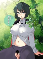 1girls big_breasts blush erect_nipples female female_pubic_hair forest kawai_yade looking_at_viewer nipple_bulge no_bra pussy solo sweatdrop torn_clothes touhou tummy wriggle_nightbug