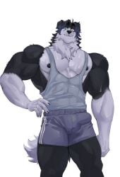 absurd_res anthro bamiroon bodily_fluids border_collie bulge canid canine canis clothing collie domestic_dog herding_dog hi_res humanoid male mammal mason_(trivolmckenley) muscular muscular_male pastoral_dog sheepdog solo sportswear sweat