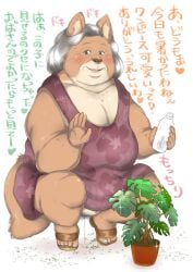 anthro blush bodily_fluids breasts canid canine clothed clothing comic dripping elderly_female excited female flirting fox genital_fluids grandmother_(lore) grandparent_(lore) hair heart hebokun in_heat japanese_text kemono looking_at_viewer mammal mature_female motion_lines no_underwear old one-piece_dress overweight overweight_anthro overweight_female plant pubes pussy_juice pussy_juice_drip sagging_breasts secretly_loves_it slippers solo sound_effects text tiptoes translated watering_plants white_hair wrinkles