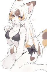 1girls 2023 bra brown_fur brown_hair calico_cat feline female female_only furry furry_only heart long_hair looking_at_viewer open_mouth orange_eyes orange_fur orange_hair panties pawpads simple_background spommmm tail white_body white_fur white_hair