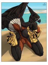 animal_humanoid anthro anus areola arm_scales ass avian avian_humanoid bed big_breasts big_butt bird bird_humanoid black_body black_claws black_feathers blue_body breasts brown_body brown_feathers claws dark_body dark_feathers feathered_diva feathers feet female furniture genitals hi_res humanoid long_tail lying multicolored_body multicolored_tail mythology nipple_fetish nipple_outline nipples on_bed on_bottom on_ground on_top pink_anus pink_areola pink_nipples pink_pussy presenting presenting_breasts presenting_pussy pussy ricksimane scales sea smile smiling_at_viewer solo spread_anus spread_arms spread_butt spread_legs spread_pussy spread_toes spread_wings spreading tail tail_feathers toes water wings xilia yellow_arms yellow_body yellow_eyes yellow_scales