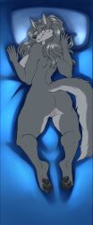 2023 4_toes 5_fingers abs absurd_res anthro anus ass athletic athletic_anthro athletic_female big_breasts black_nose black_pawpads blue_eyes blush braided_hair breasts canid canine canis claws dakimakura_design digital_media_(artwork) feet female finger_claws fingers fur genitals grey_body grey_fur grey_hair hair hi_res hindpaw humanoid_hands lady_red_(wolfpack67) long_hair looking_at_viewer looking_back looking_back_at_viewer lying mammal navel nude on_front pawpads paws pussy shapeshifterprincess side_boob smile solo teeth toe_claws toes wolf wolfpack67