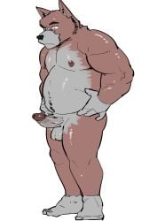 2023 absurd_res anthro balls belly black_nose canid canine canis domestic_dog erection genitals hi_res humanoid_hands kemono male mammal musclegut nipples penis simple_background slightly_chubby solo ujishiyo white_background