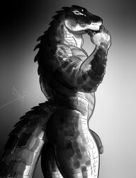 2023 anthro bgn black_and_white crocodile crocodilian crocodylid flaccid genitals glans hi_res humanoid_genitalia humanoid_penis male monochrome nude penis reptile scalie simple_background solo standing