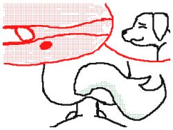 2boys animated anthro ass balls canid canine flipnote_studio genitals gif leaking loop low_res lowres male male/male male_only mammal oshanot penis sex